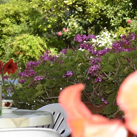 Geroulis Stefanos * Vasiliki