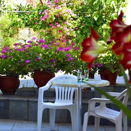 Daire Geroulis Stefanos Vasiliki